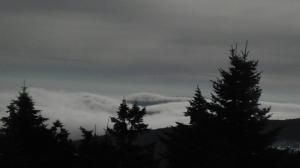 The Karst.  Photo cred: Nick Dicton