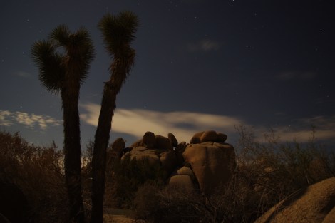 Prehistoric Terrain at Joshua Tree National Park